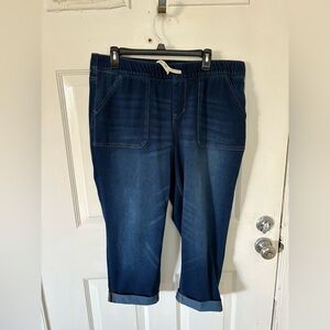 Lane Bryant Blue Relaxed Jeans with Stretch